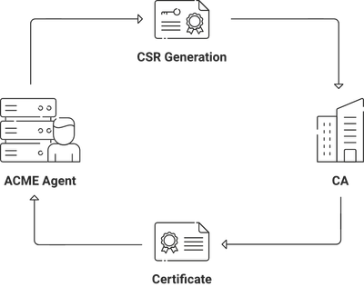 A diagram showing 4 Steps of the ACME process
